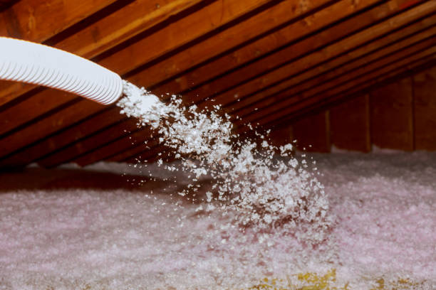 Best Insulation Inspection Services  in Mount Holly Springs, PA