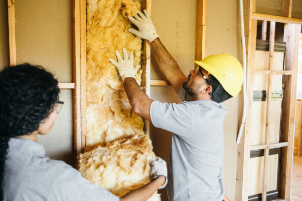 Best Fiberglass Insulation  in Mount Holly Springs, PA