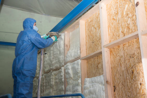 Best Professional Insulation Contractor  in Mount Holly Springs, PA